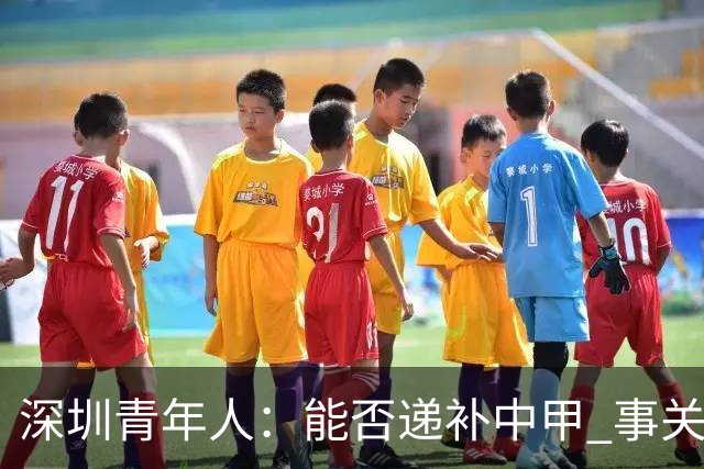 深圳青年人：能否递补中甲 事关财路！两套方案应对